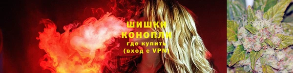 трава Аркадак