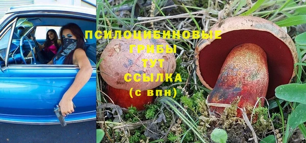 тгк Арсеньев
