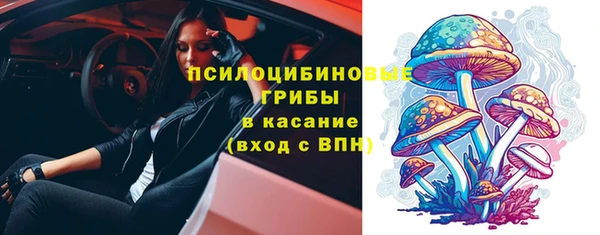 тгк Арсеньев
