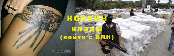 трава Аркадак
