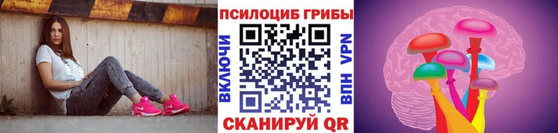 где купить   Струнино  Псилоцибиновые грибы Cubensis 